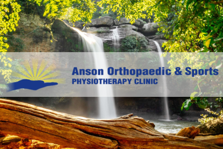 Anson Physiotherapy Website